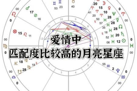 2026年春节月老牵线最佳星座配对