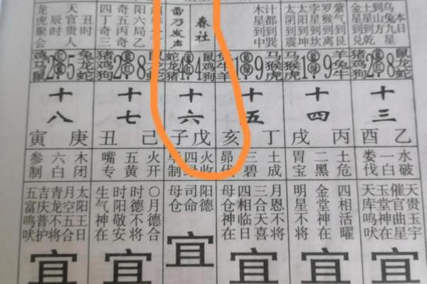 打春是几月几日2023几点几分