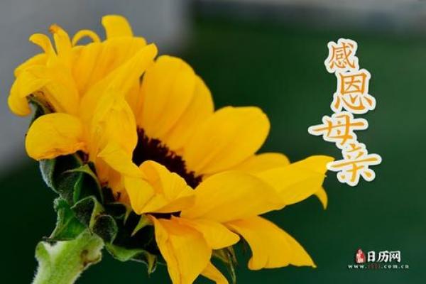 母亲节2021年是几月几日