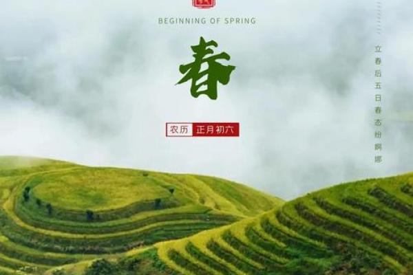立春代表的寓意是什么 立春代表什么传统意义