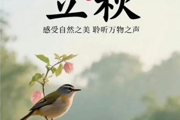 2023年立秋时间几点几分几秒 今年立秋是几点几分开始