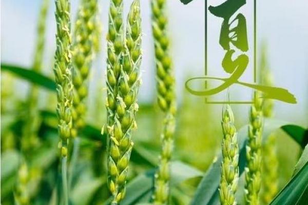 立春过后是立夏 立春后多久到立夏