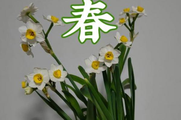 立春过后是立夏 立春后多久到立夏