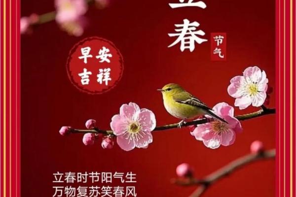 2月4号立春几点几分立春 立春几点几分适合出行