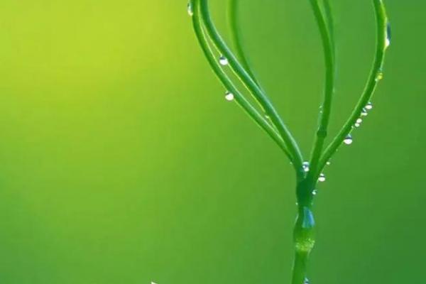 几点立春2024 2024年立春是几点几分