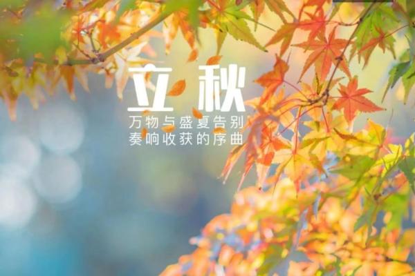 立秋是2024年几月几日几时几分 2024年立秋是哪一天农历