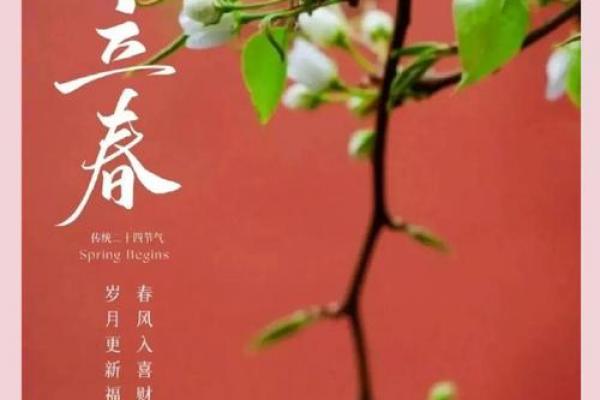 腊月二十五立春几点到几点 立春时辰查询 腊月二十五宜忌