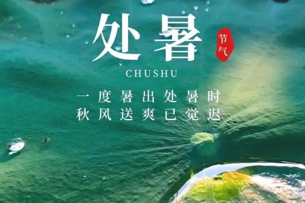 处暑是几月几日2024年 处暑节气2024年时间