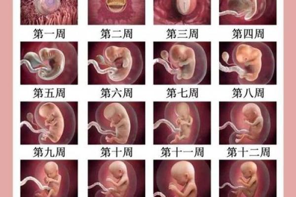 2026年9月剖腹产黄道吉日，准爸妈必看最新宜忌指南
