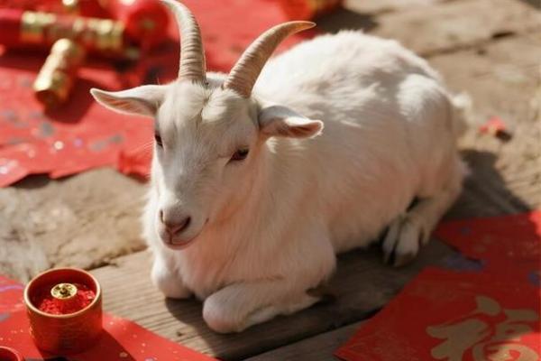 5月理发最吉利的三个日子，2026年千万别错过