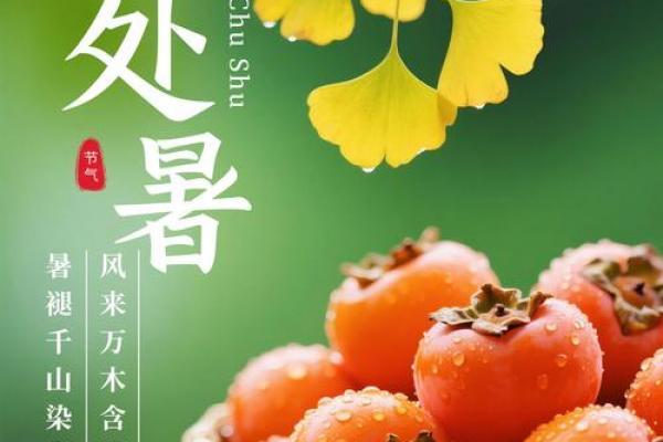 处暑是几月几号2022 处暑节气是哪一天2022