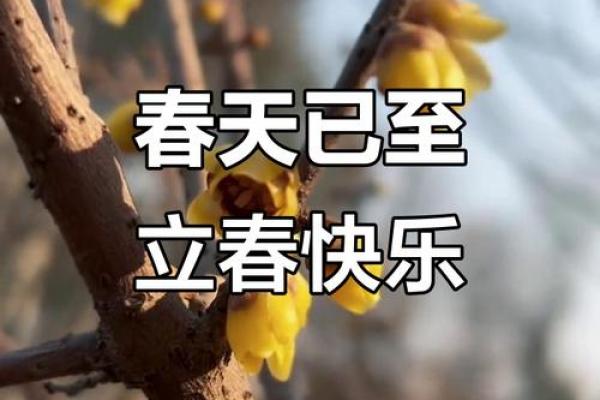 2023年2月4日几点立春 立春是几点开始 2024年2月4日