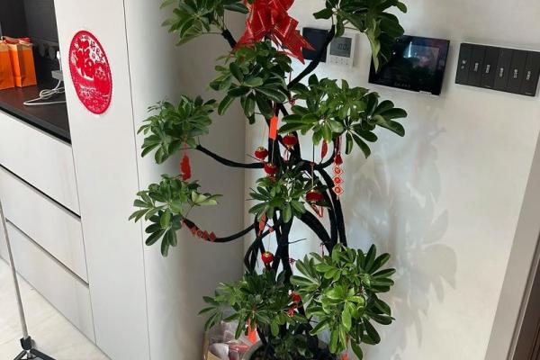 2026年5月乔迁吉日日历，精选黄道吉日助您安居乐业