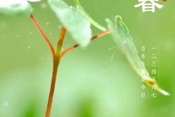 2021年立春 今年立春是哪一天农历