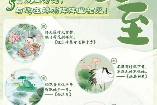 夏至是几月几号2021年 夏至节气是哪一天2021