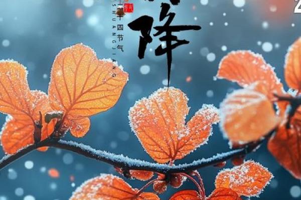 2019霜降是几月几日 霜降节气是哪天2019