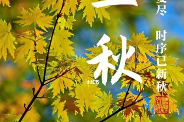 8月8日立秋是早秋还是晚秋 2024年立秋是早秋吗