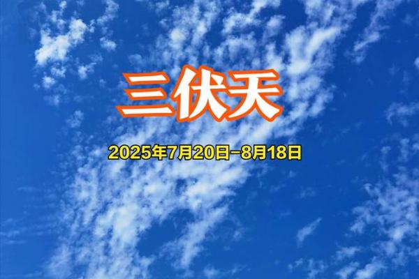 中伏是几月几号2021年 2021年中伏时间查询