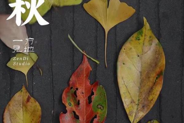 2020年8月7日几点几分立秋 今年立秋是几点几分开始