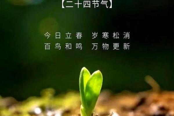 关于立春的文案(200句) 立春祝福语简短一句话