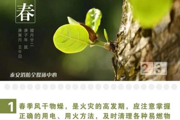 打春是几月几日2022几点几分 今年立春是几月几号几点