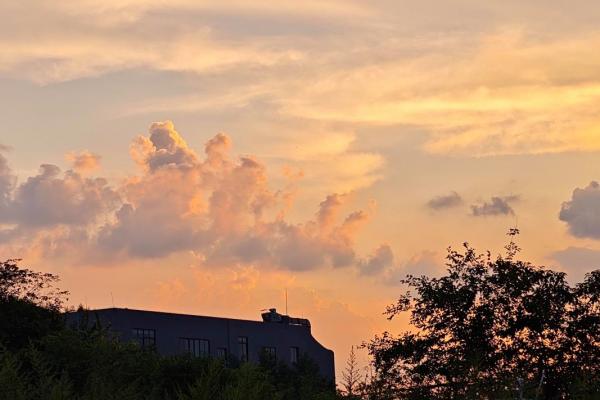 11月份最好三个日子揭晓，错过再等一年！