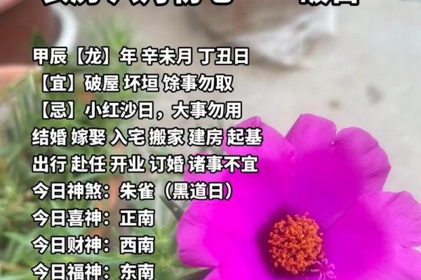 2026年7月黄道吉日最新查询，本月宜忌事项一览