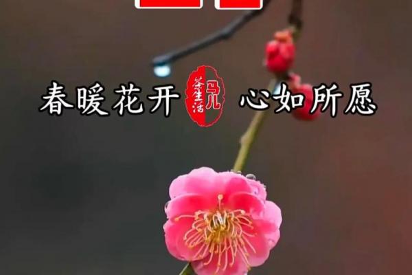 2019年立春具体时间 2019年打春具体时辰