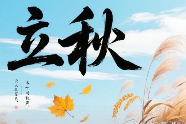 2022年8月7号几点立秋 今年立秋是几点几分