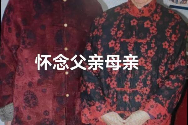 2019母亲节父亲节分别在哪天 母亲节父亲节2019是哪一天