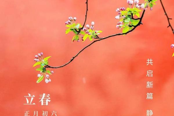 打春时间2020 2020年打春是农历哪一天