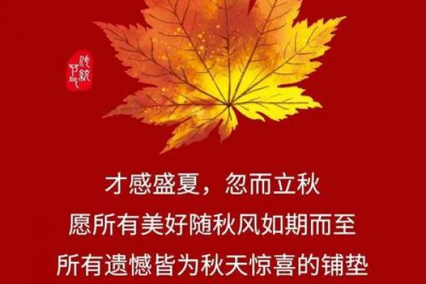 2024立秋广告营销句子文案 立秋营销句子怎么写