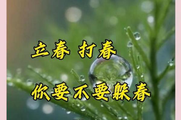 2022年躲春时间和方法 躲春的正确方法与禁忌