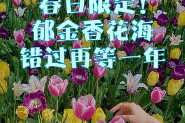 9月交易最佳三天揭秘，错过再等一年！