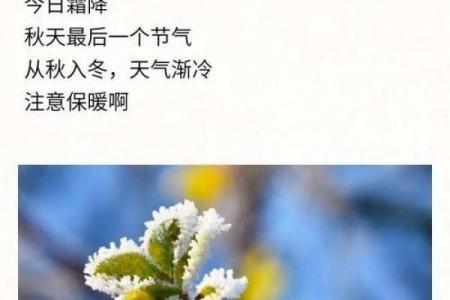 霜降是几月几日2019 霜降节气2019年时间表