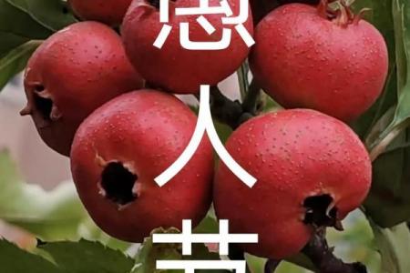 2044年愚人节是几月几日 2044愚人节结婚登记吉日