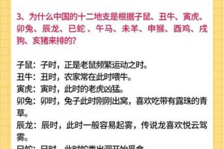 今年什么时候打春2019 2019年立春是几月几号