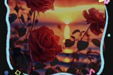 2012年情人节是几月几号 2012年情人节是几号