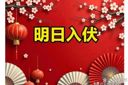 2020入伏是几月几日 今年入伏具体日期查询