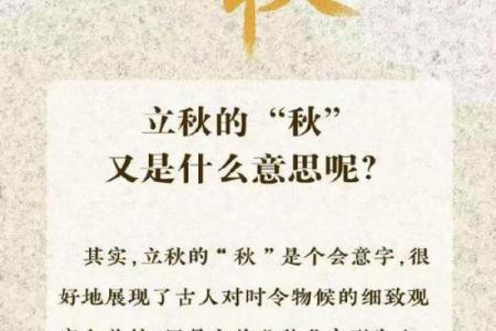 2022年晚立秋有什么说法 晚立秋后天气还热多久