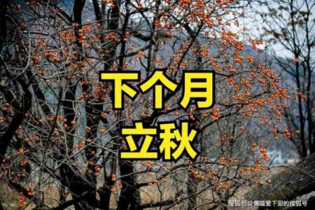 2022年立秋 立秋后天气还热多久