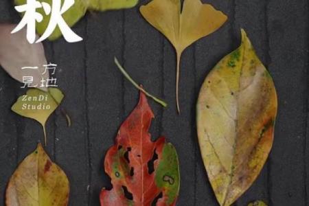 2020年8月7日几点几分立秋 今年立秋是几点几分开始