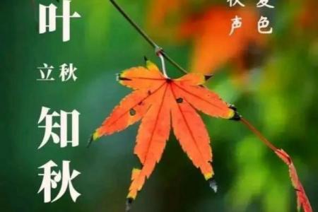 几月几日立秋 立秋节气是哪一天