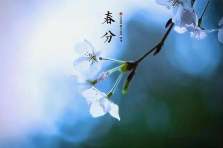 春分是几月几日2023 春分节气适合结婚的日子