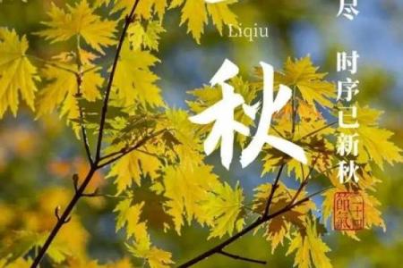 2018年立秋是几点几分 立秋节气几点开始2018