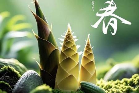 打春时间2020 2020年打春是农历哪一天