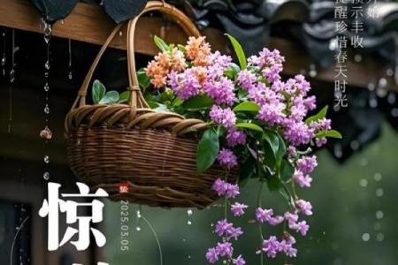 2023年惊蛰是几月几号 惊蛰节气是哪一天2023