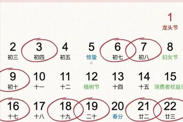 突发：宜动土吉日查询