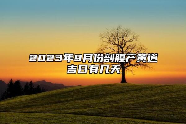2027年2月成服、除服最旺运，生动黄历吉日释义解析全面精选最佳