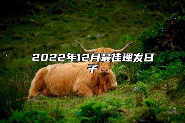 2027年2月裁衣最旺运，官方黄历吉日释义最佳精选解析落实